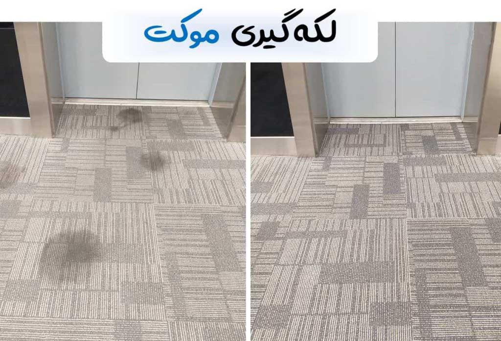 Washing the carpet 9 1024x768